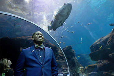 Kennesaw State Bagwell College of Education alum making waves at Georgia Aquarium