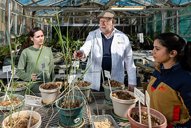 Kennesaw State professor shows switchgrass can clean contaminated soil