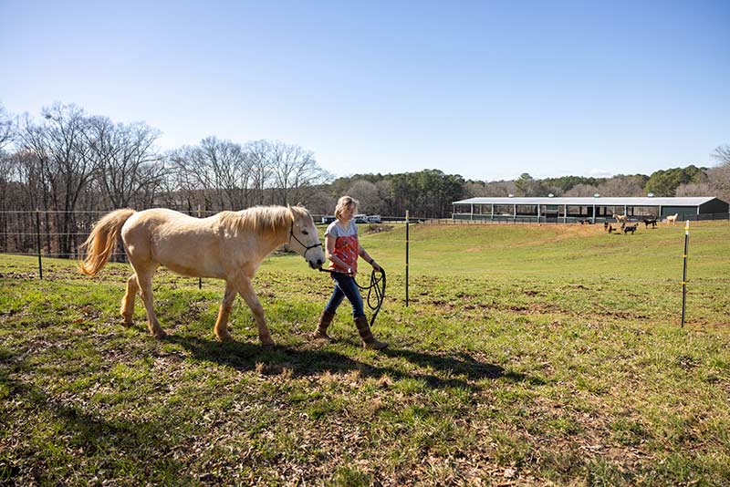 Photo of Lauren Christian walking beside a horse through a field