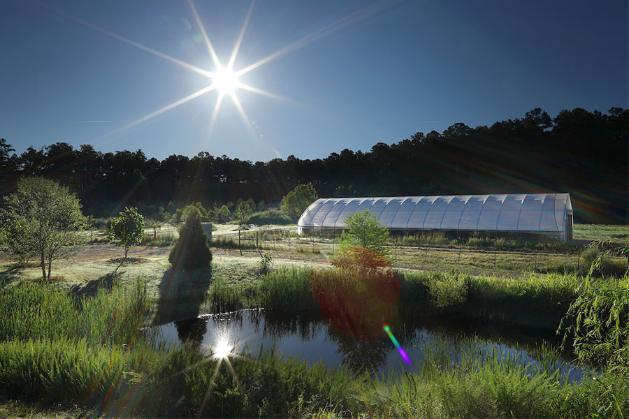 Kennesaw State Field Station is a living laboratory