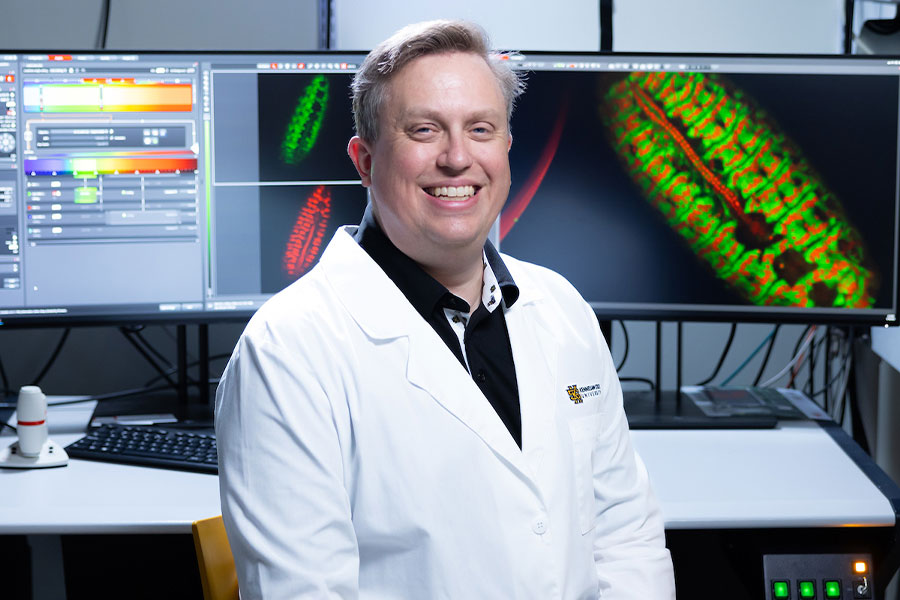 Kennesaw State researcher receives federal grant to study muscle formation