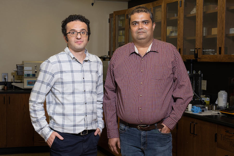 Kennesaw State physics professors earn grants to boost condensed matter physics research