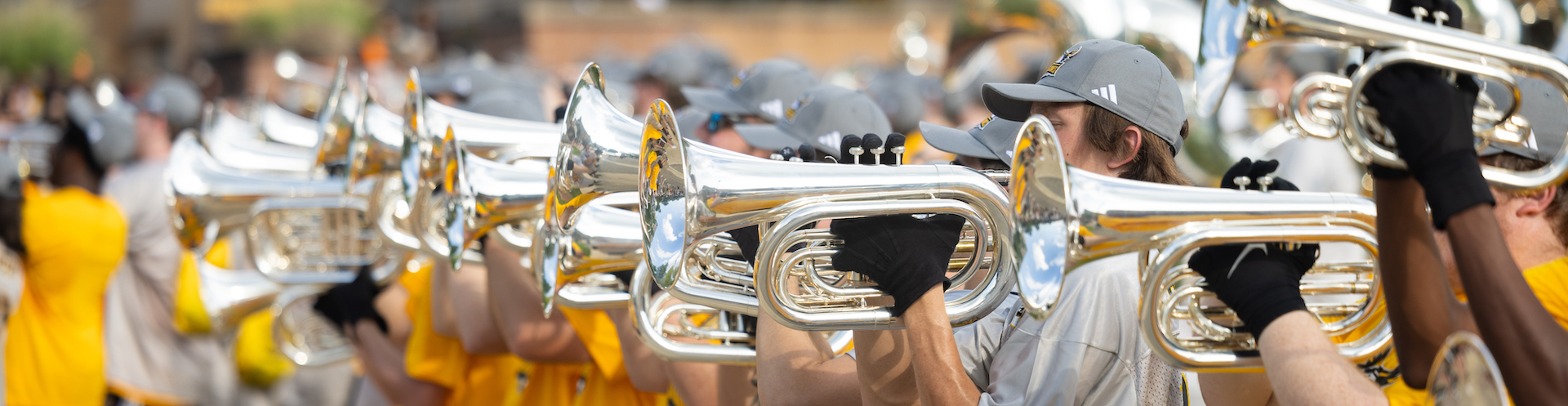 Marching Owls