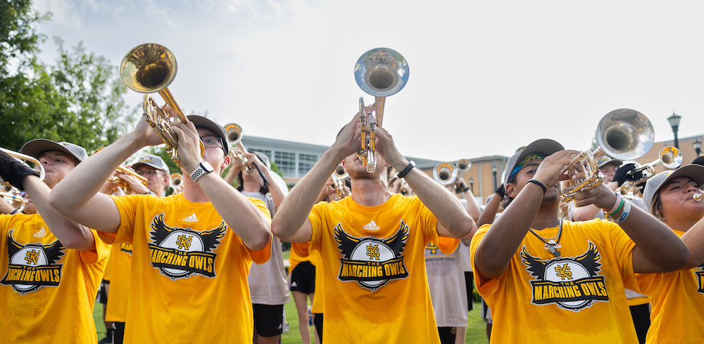 Marching Owls