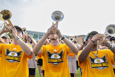 Marching Owls