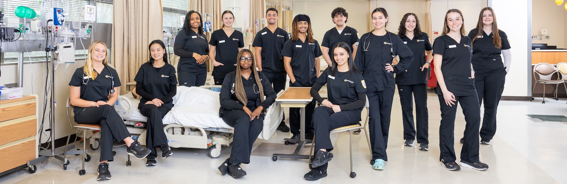 Nursing scholars