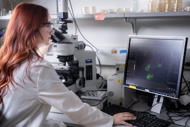 Kennesaw State research