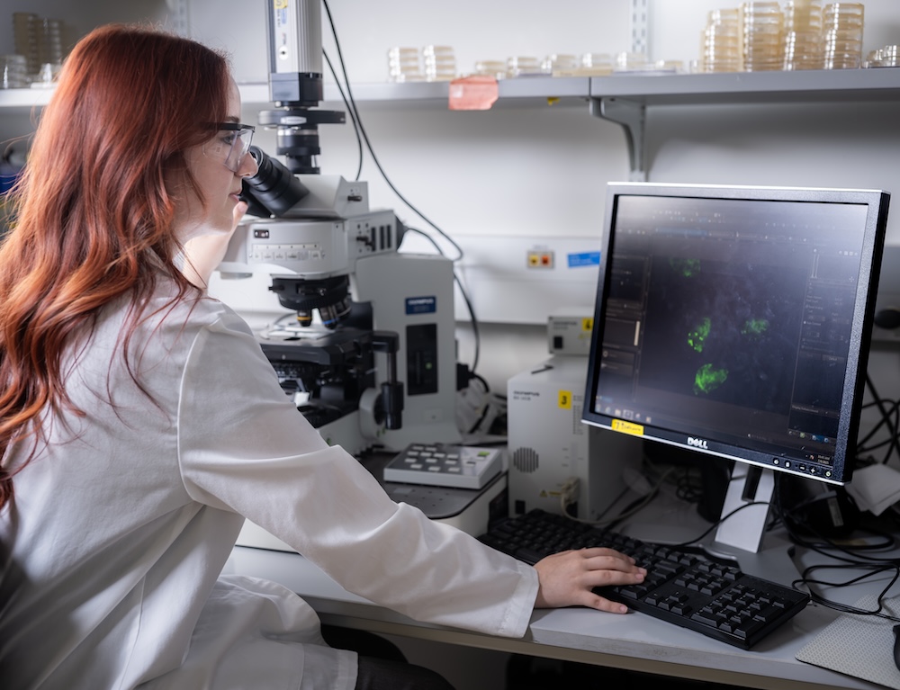 Kennesaw State research
