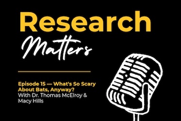 Research Matters logo
