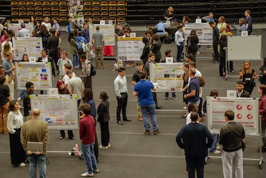Symposium of Student Scholars