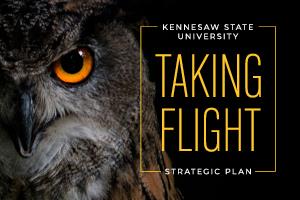 strategic plan owl
