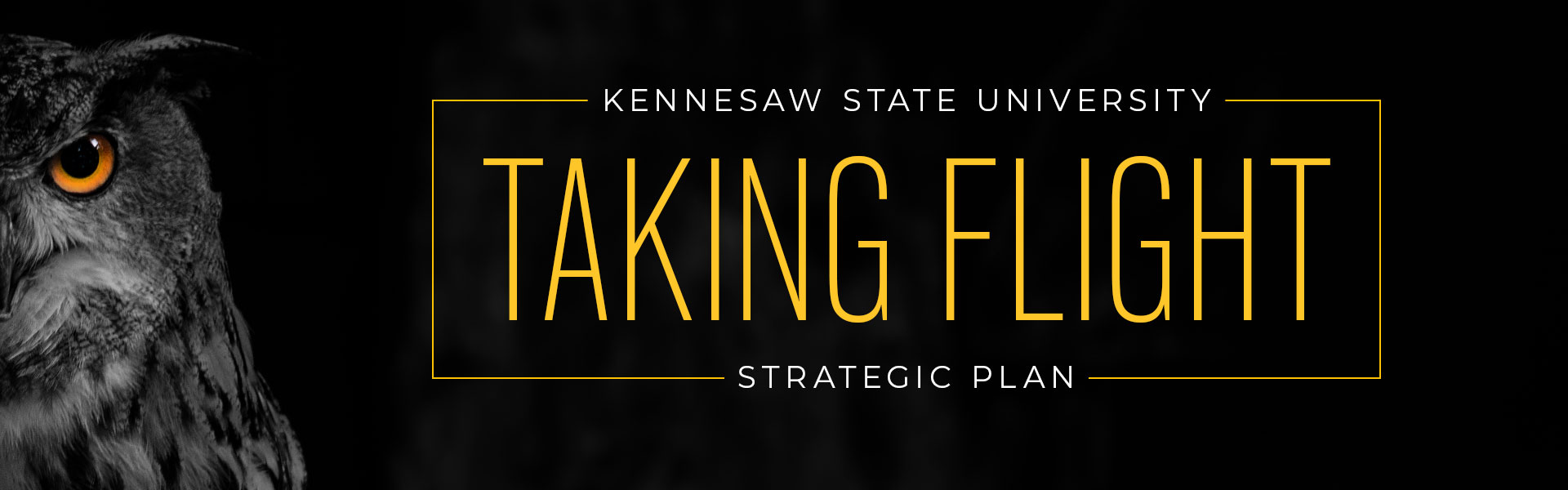 Kennesaw State University, Taking Flight Strategic Plan.