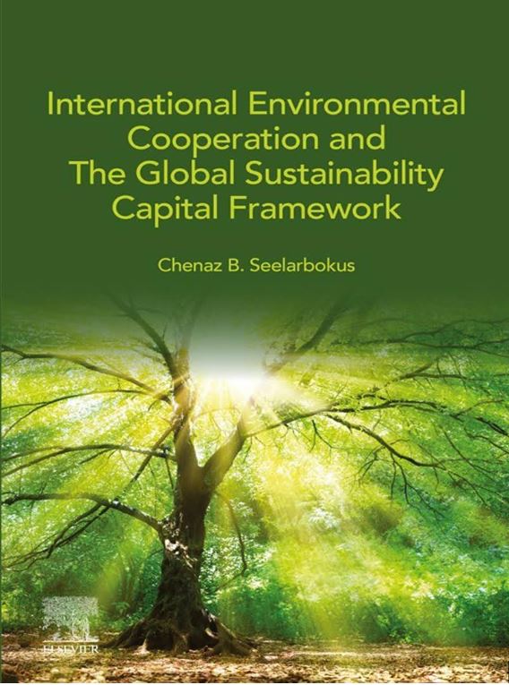 International Environmental Cooperation and the Global Sustainability Capital Framework by Chenaz Seelarbokus.