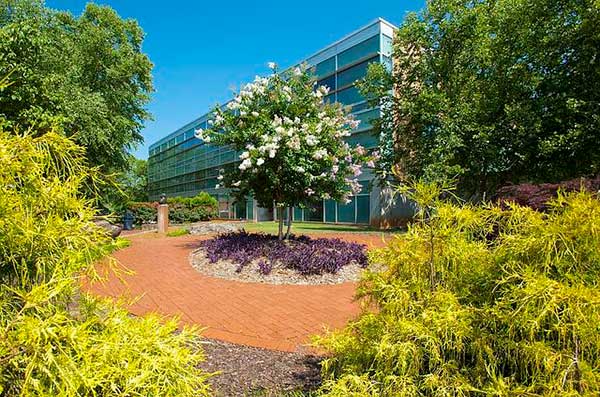 courtyard outside english building