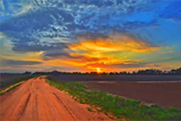 sunset artwork