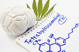 chemical diagram of thc on a notepad next to a model brain
