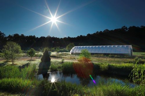 KSU Field Station