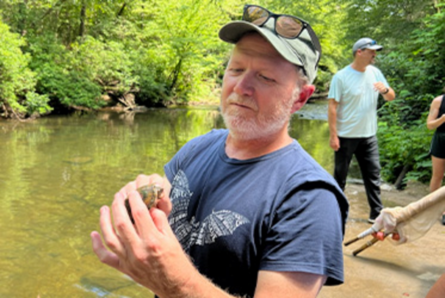 Professor Bert Way standing on the bank wearing a dark t-shirt and a hat with sunglasses on top. He is holing a small turtle. Behind him are other researchers standing with a collection net.  