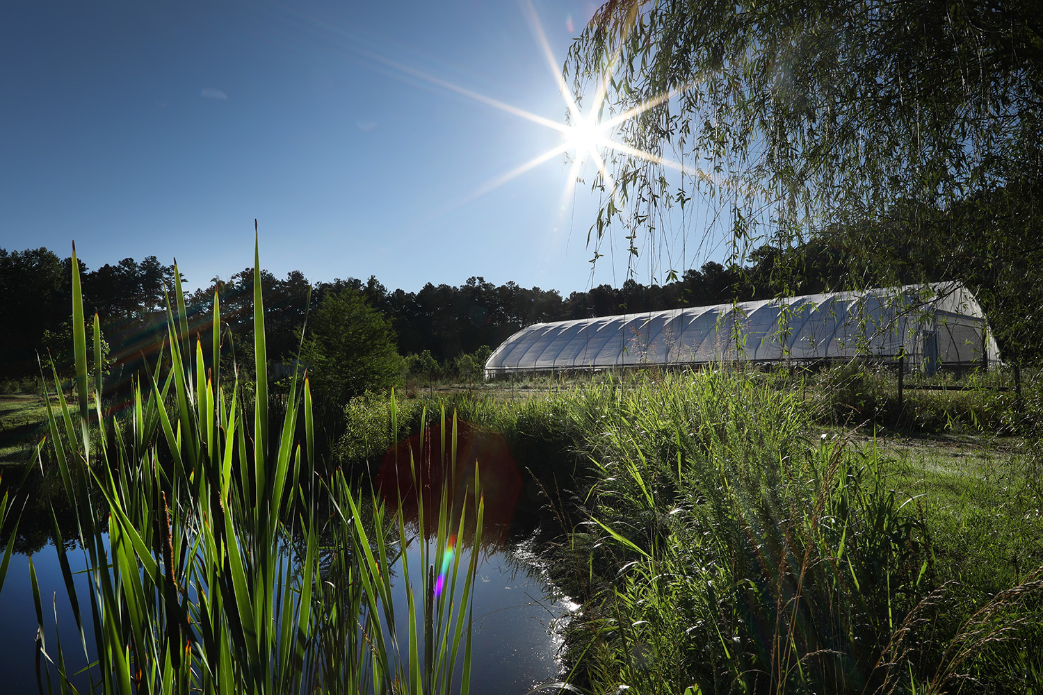 Photo of the Field Station, managed by the Office of Research, is a 25-acre property located along a tree-lined road parallel to Interstate 75 approximately two miles from the Kennesaw Campus