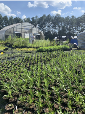 Image of the Field Station on KSU campus