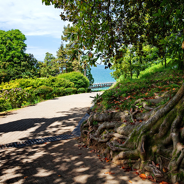 georgial trail