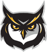 owl head logo