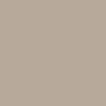 Horned Owl