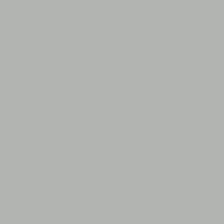 Slap Rock Gray
