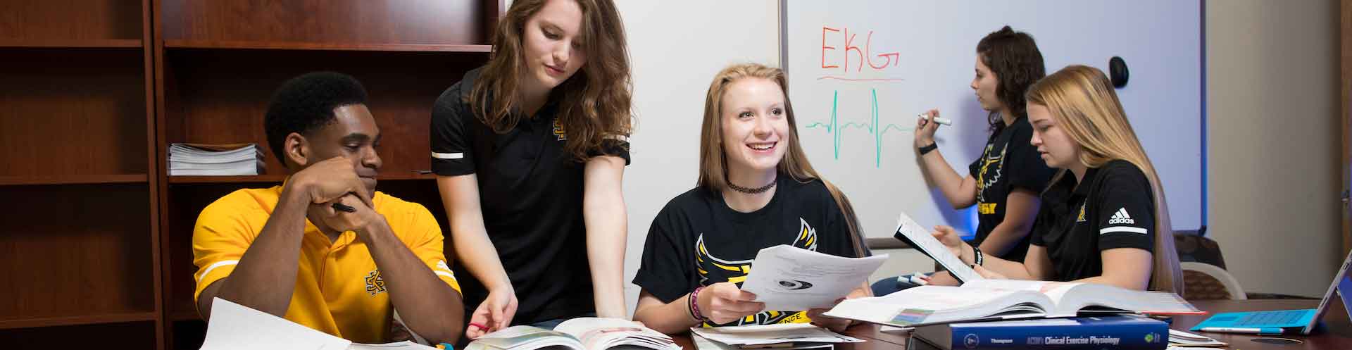 Students studying together in a study room