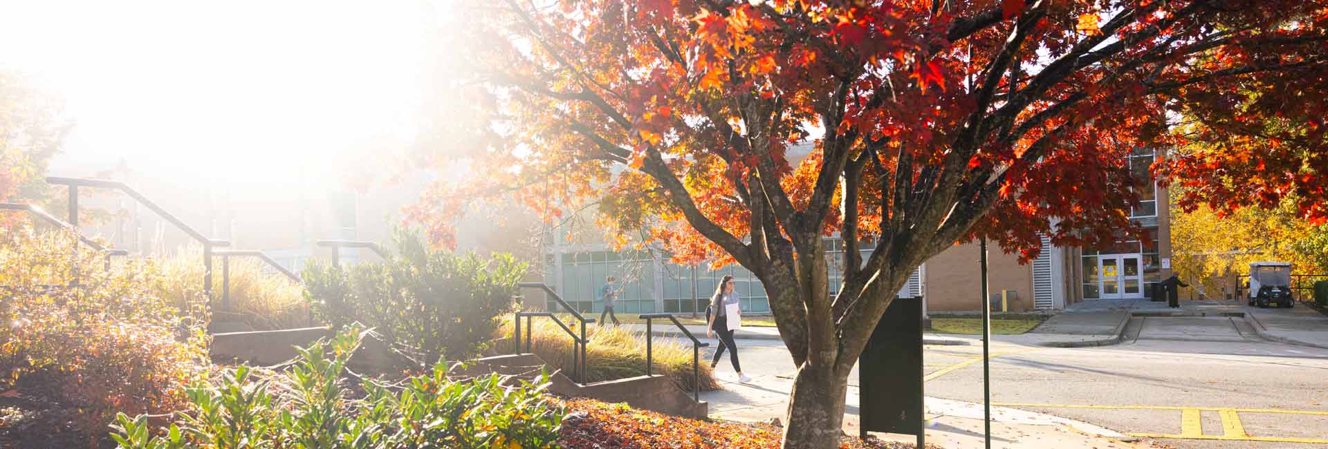 ksu student walking across campus during fall season