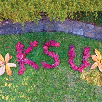 KSU spelled with leaves and flower petal on the ground