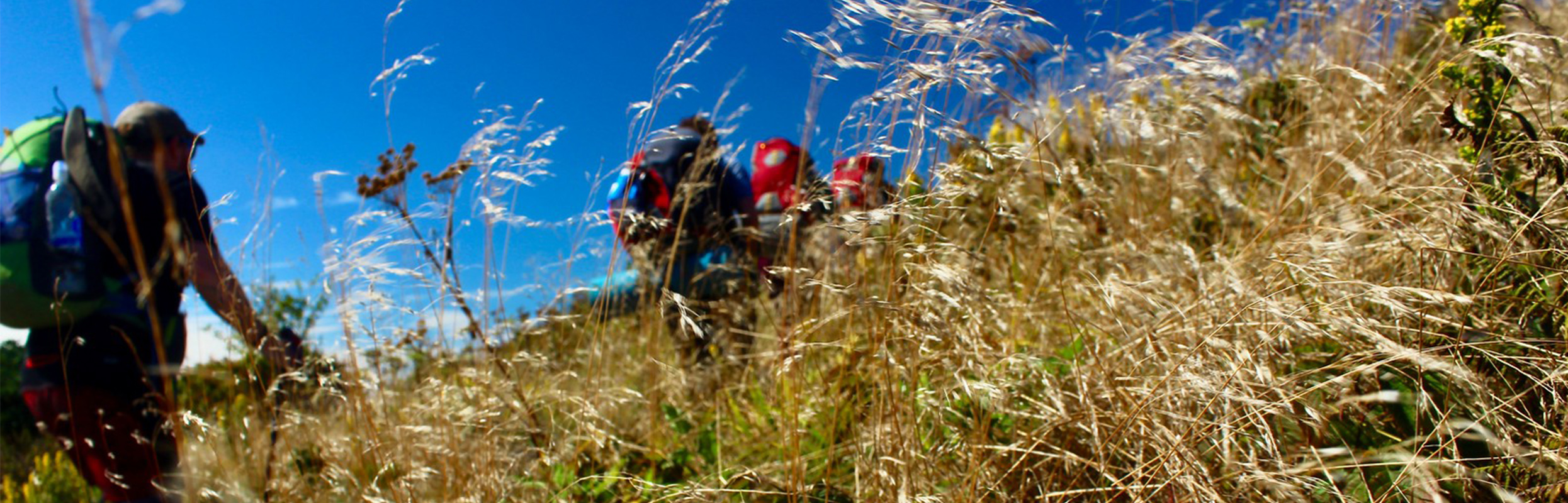 ksu students hiking