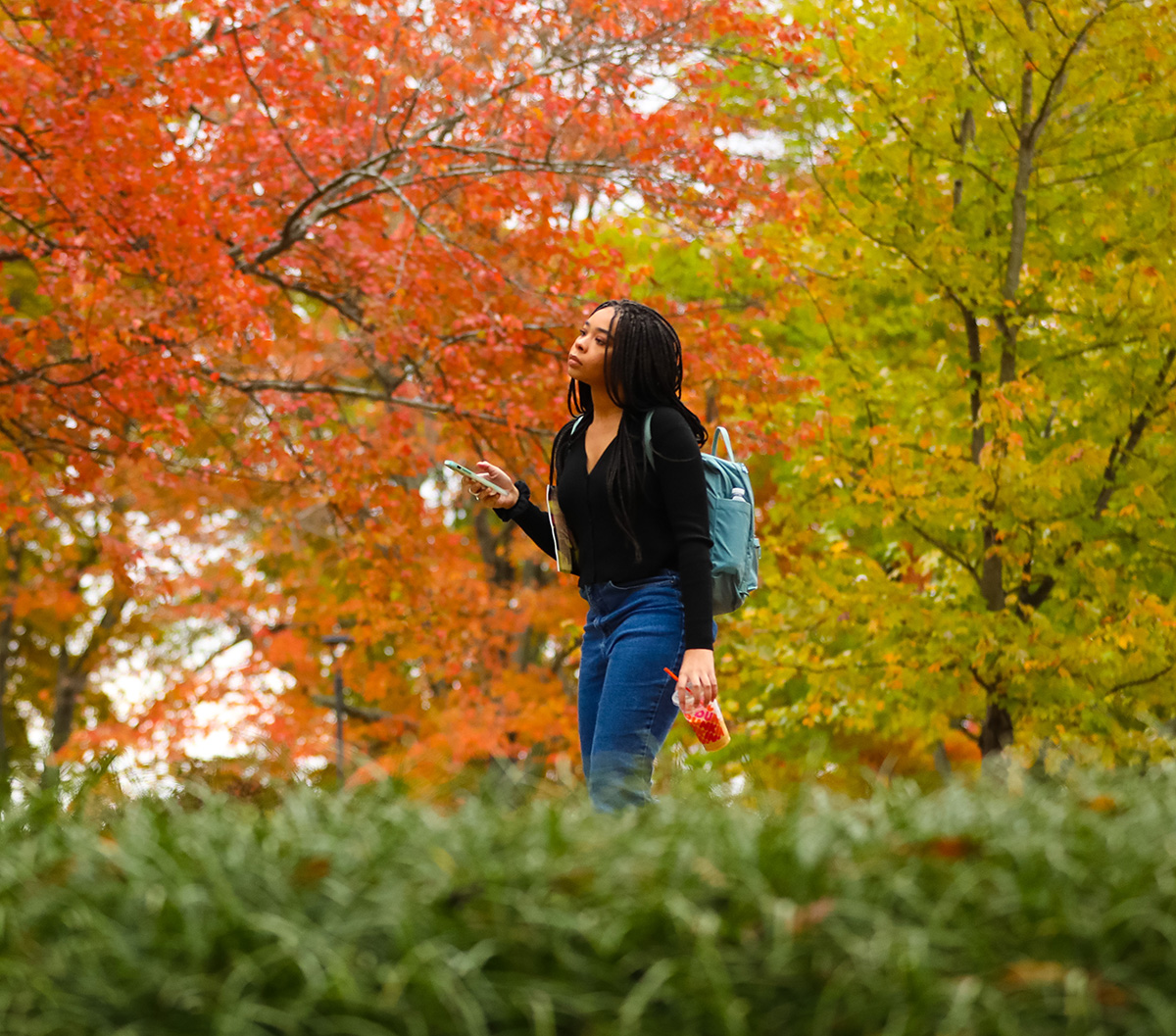 ksu student walking through wood during fall