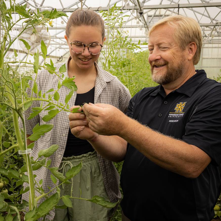 A research and student inspect the sustainably grown sunflowers inside a green house.