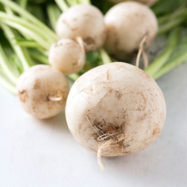 white Turnips