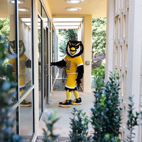 Scrappy entering a building on campus