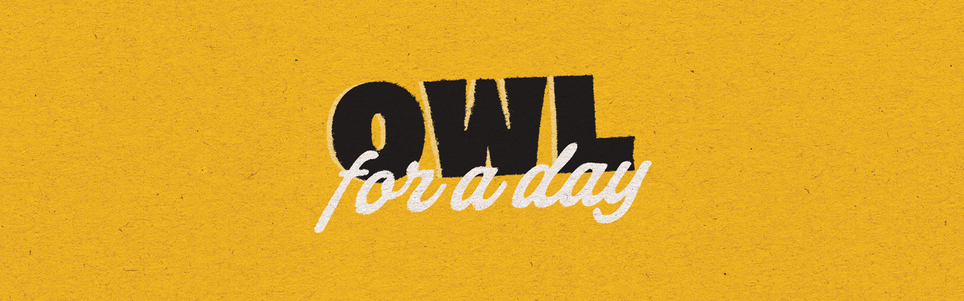 owl for a day