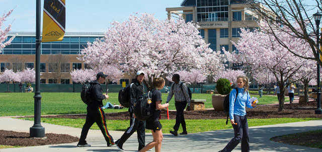 Spring Campus on the green