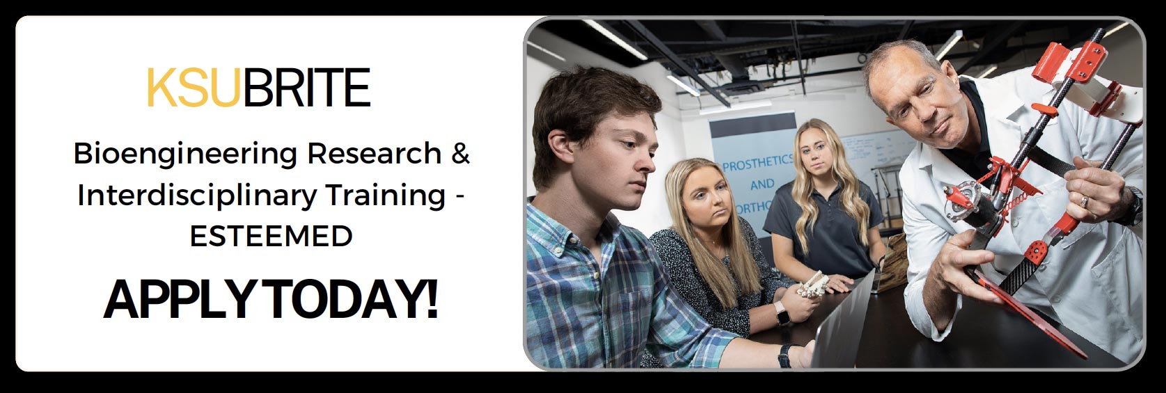 KSUBRITE Bioengineering Research & Interdisciplinary Training - ESTEEMED Apply Today!