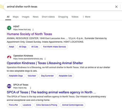 Google search for “animal shelter” shows several ad results, including “Humane Society of North Texas.
